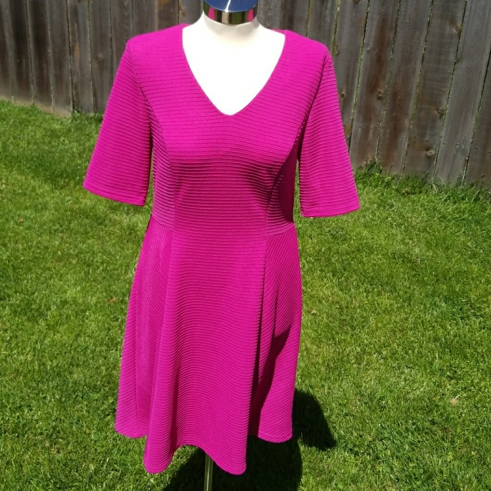 Hot Magenta fit and flare dress